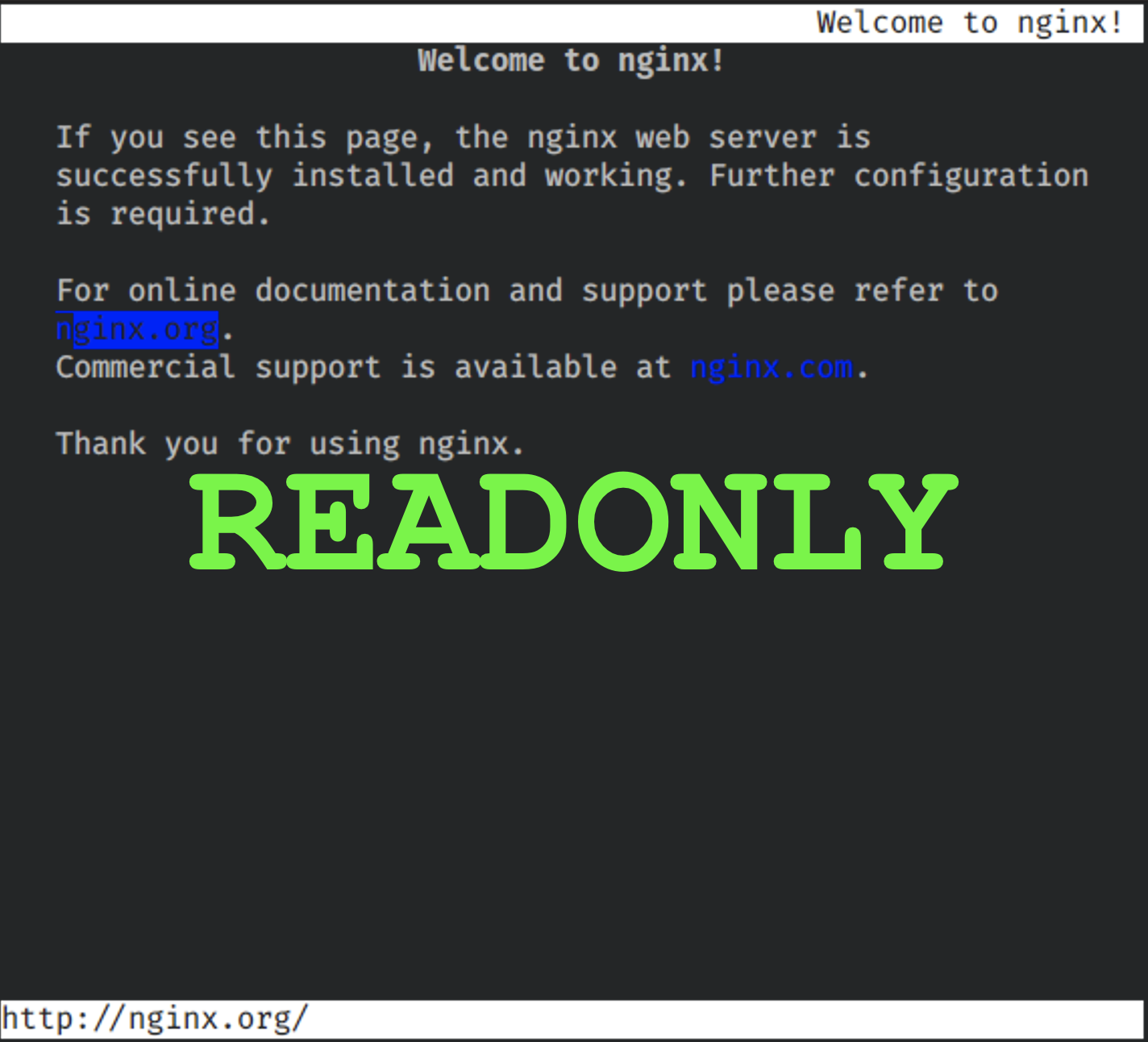 Distroless NGINX with a readonly filesystem