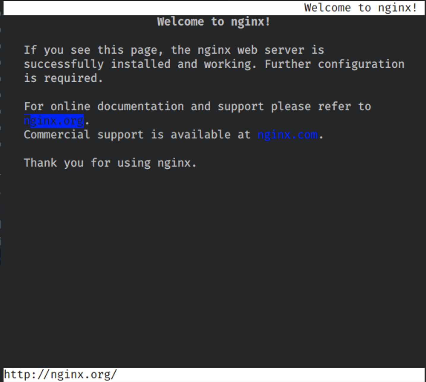 Distroless NGINX